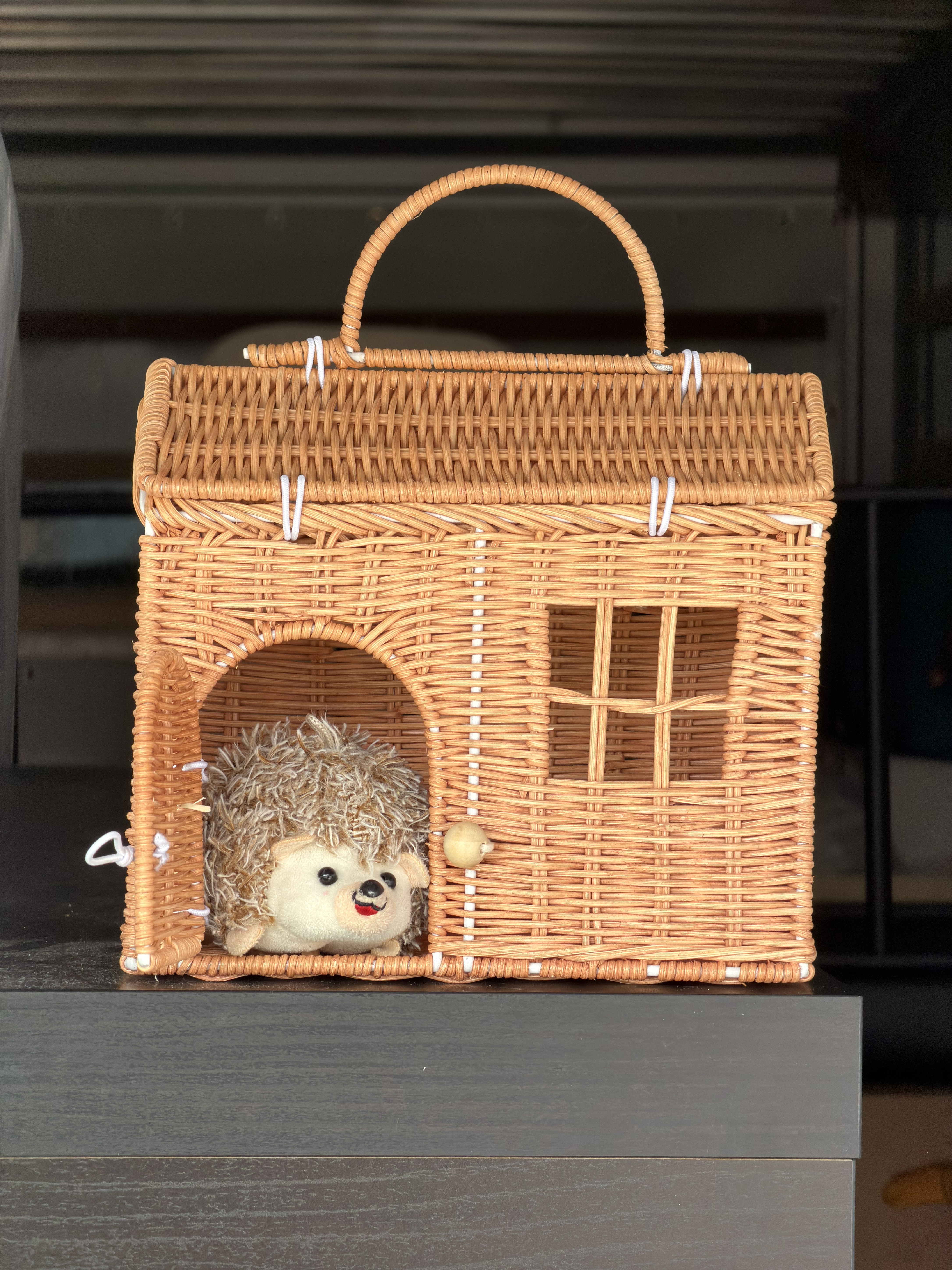 Honey adventure photo 01